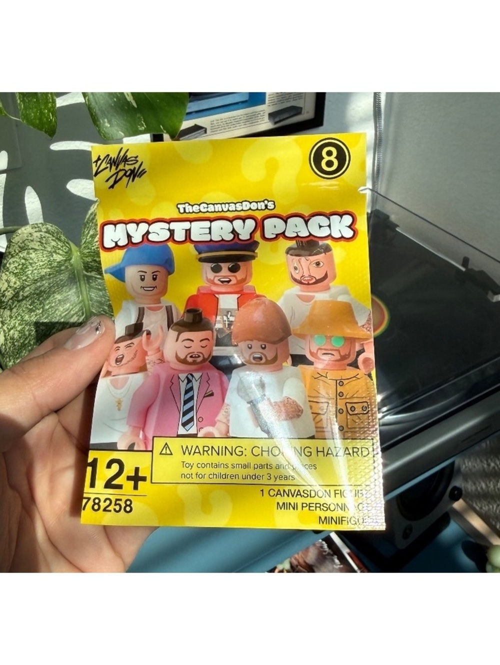 The Canvas Don Mac Miller Mystery Mini Figure
